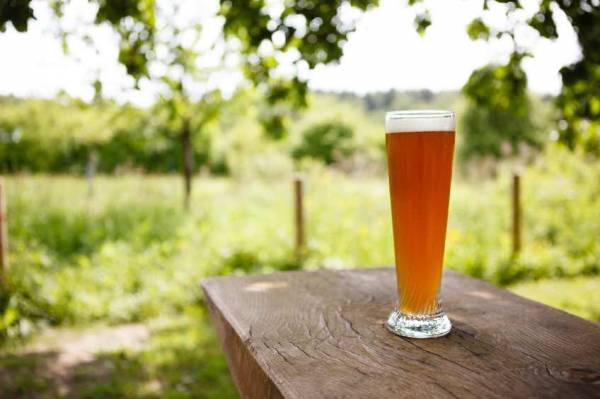 Top Ten Beer Gardens To Visit In Edinburgh This Summer